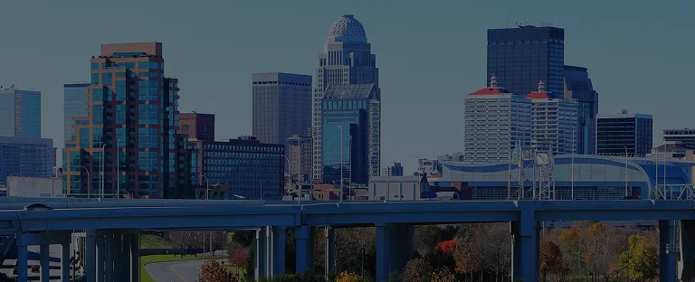 Panoramic view of a city skyline with modern skyscrapers and elevated highways under clear blue sky.