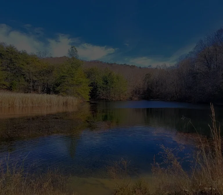 Tranquil lake surrounded by autumnal trees and dry grasses under a clear blue sky.
