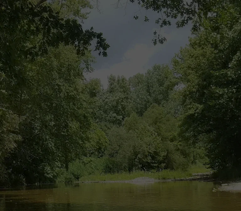 Calm river surrounded by dense green trees under a partly cloudy sky.